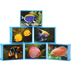 Fish Puzzles Toy (one dozen)