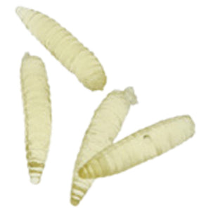 Glowing Maggots Party Accessory (one dozen)
