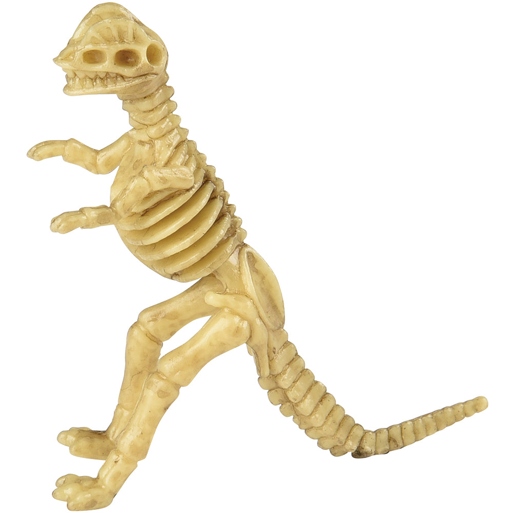 Skeleton Dinos Toy (one dozen)
