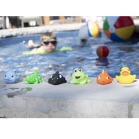 Squirt Animals Toy (One Dozen)