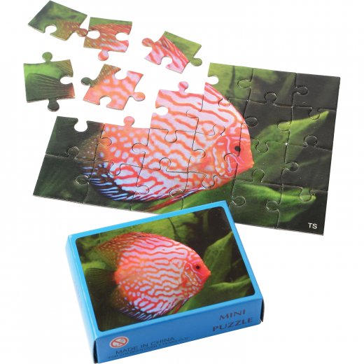 Fish Puzzles Toy (one dozen)