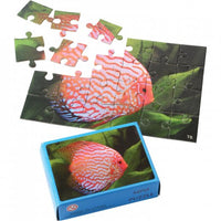 Fish Puzzles Toy (one dozen)