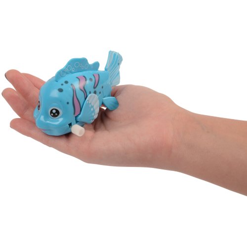 Tropical Fish Wind-Up Toys (pack of 4)