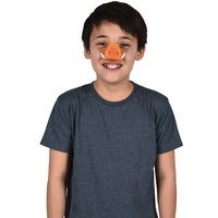 Animal Noses Party Favor (One Dozen)