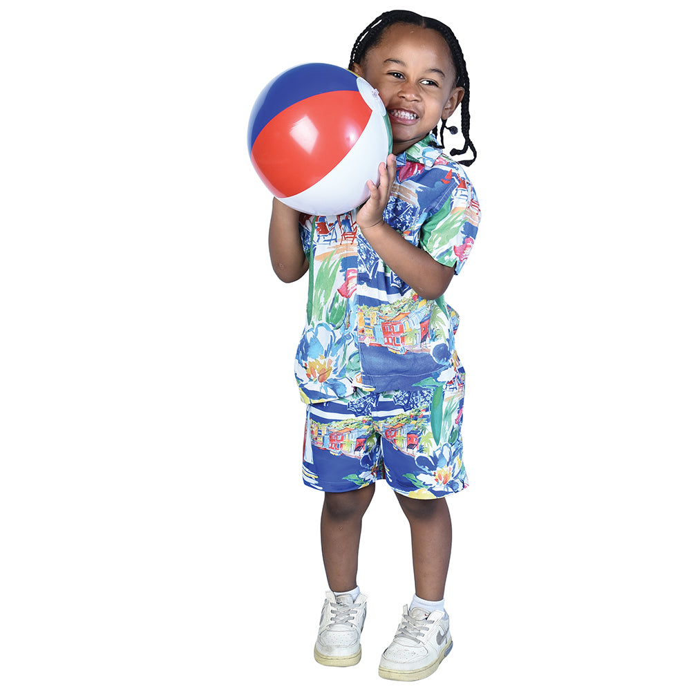 8" Beach Balls Toy (One Dozen)