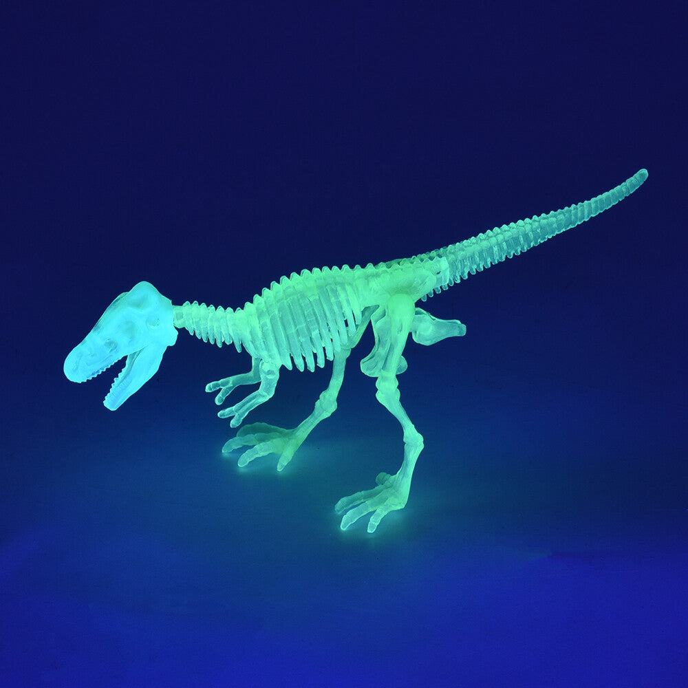 Assemble Glow In The Dark Dino Egg (12 per Package)