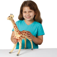 Colossal Wild Animals Toy 6 Per Pkg