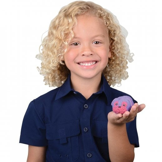 Squishy Stretchy Pug Toy 12 Per Display