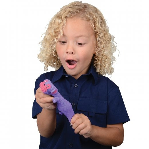 Squishy Stretchy Pug Toy 12 Per Display