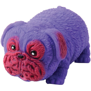 Squishy Stretchy Pug Toy 12 Per Display