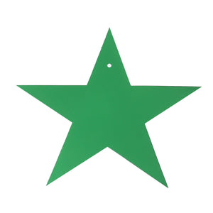5 Inch Foil Star - Green Party Decoration (One Box)