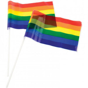 Rainbow Flags - 4"X6" Plastic Party Favor (One dozen)