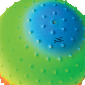 Rainbow Knobby Ball 10 Inch Toy (1 Dozen)