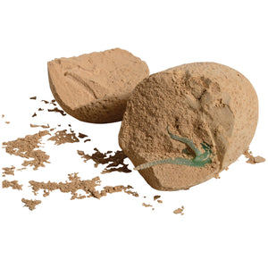 Dig Out Dinosaur Fossil Toy