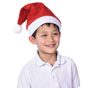 Economy Santa Hats Costume - Adult Size (one dozen)