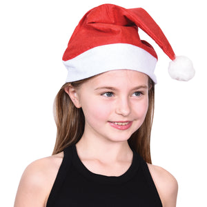 Economy Santa Hats Costume - Adult Size (one dozen)